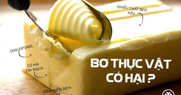 Ăn chay có ăn bơ có được không? Tác dụng của bơ với người ăn chay - Ẩm Thực  Độc Hay