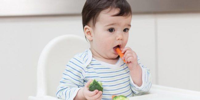Cho trẻ ăn chay có ảnh hưởng đến sự phát triển của con không?