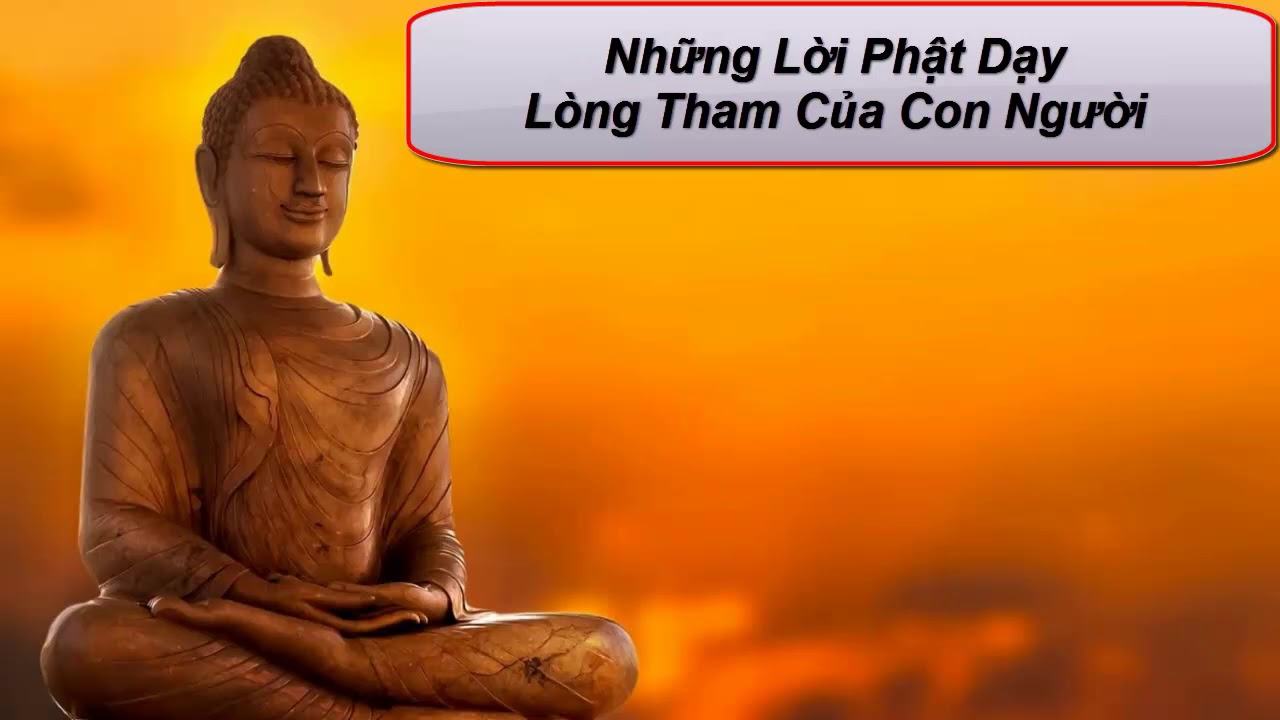 Lời Phật Dạy Về Lòng Tham, Sân, Si Và Nghiệp Báo Của Con Người - Ẩm Thực  Độc Hay