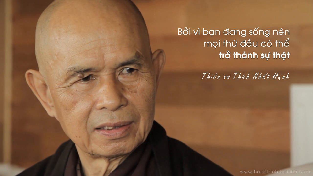 Thiền sư Thích Nhất Hạnh và quan điểm về Phật giáo dấn thân