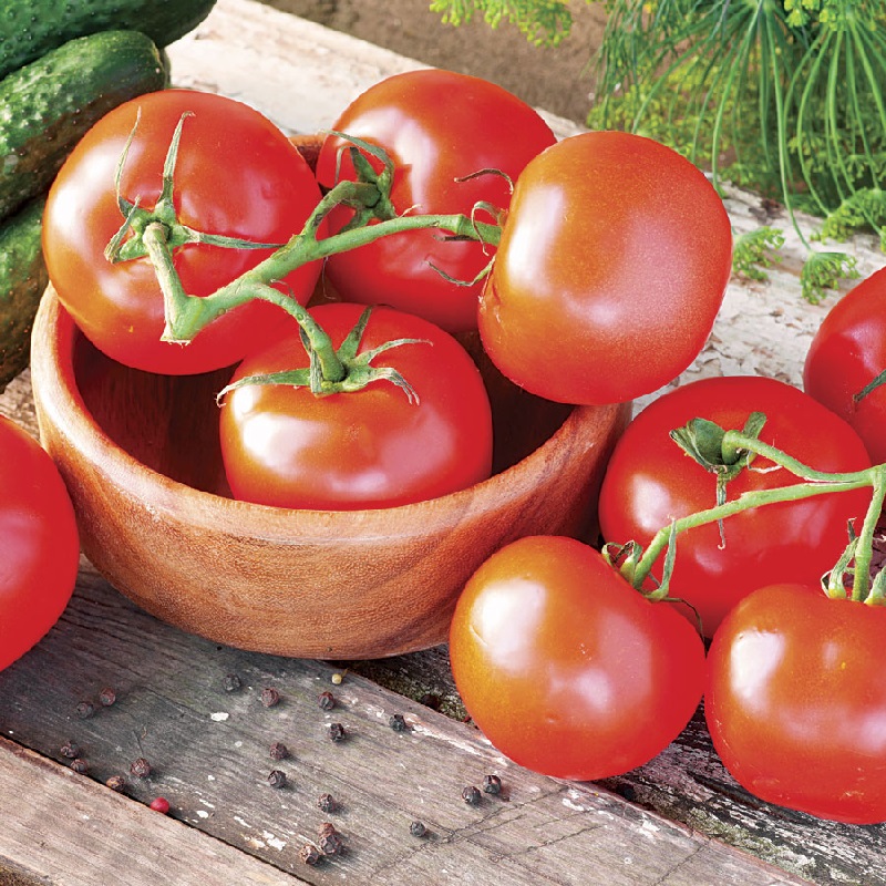 Chuyển đổi sim thường sang sim “tri kỉ” Tomato cực đơn giản