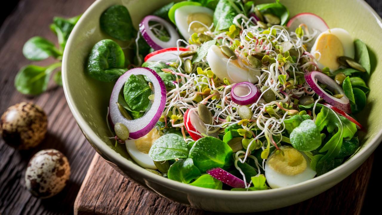Salad rau mầm - Món chay đãi tiệc
